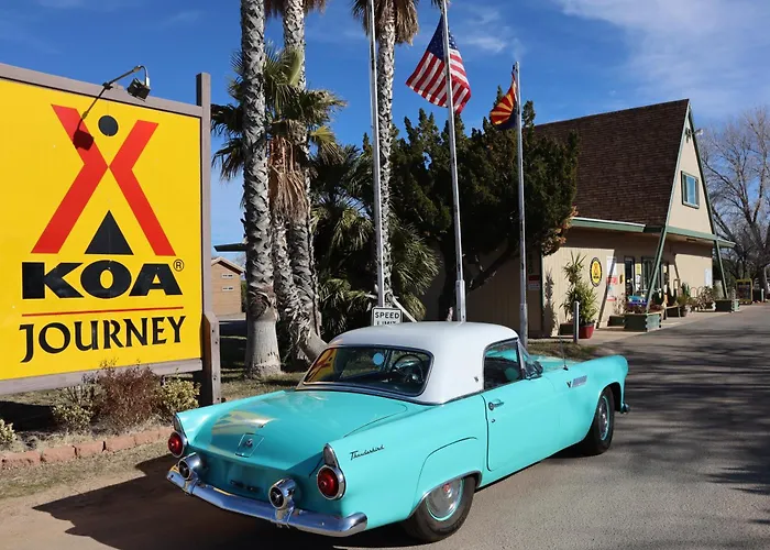 Kingman Koa